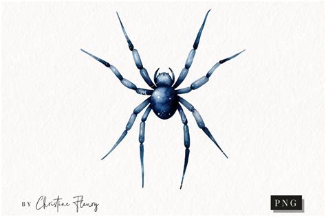 Watercolor Spider Clipart | Watercolor Halloween PNG