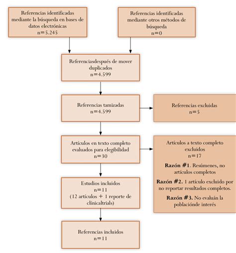 Diagrama De Flujo Prisma Que Muestra El Proceso De Identificacion Images Sexiezpix Web Porn