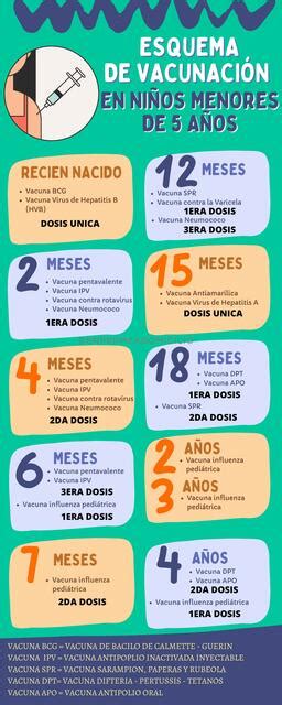 Esquema De Vacunaci N En Ni Os Menores De A Os Nurse Salud Udocz