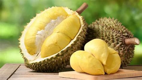 Manfaat Buah Durian Untuk Kesehatan Badan Maulana Says Green