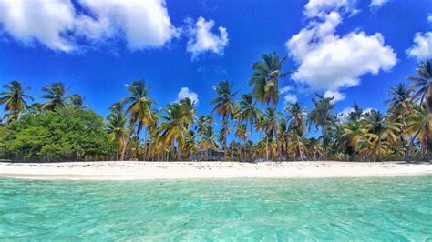 Excursion to Isla Saona 2024 – hidden gems, insider tips, DIY ...