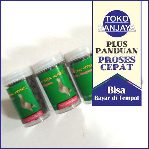 Jual Pil Burung Merpati Koko CPM HIjau Jamu Herbal Merpati Khusus