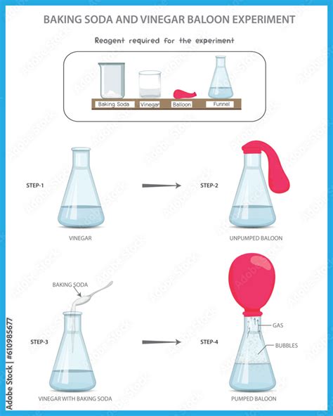 Vetor De Baking Soda And Vinegar Balloon Science Experiment Baking