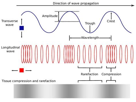 Unveiling the Secrets of Sound Waves: A Dive into Transverse Waves ...