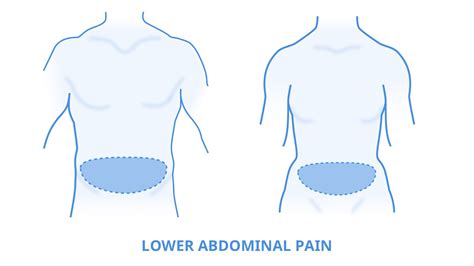 Image Highlighting The Lower Abdomen