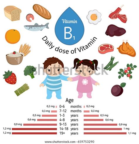 Vitamin B1 Thiamin Vector Set Vitamin Stock Vector Royalty Free