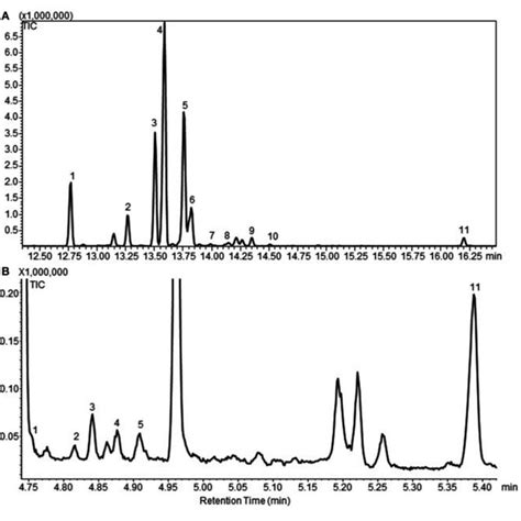 A Representative Gas Chromatogram Of The Sesquiterpenoid Profile Of