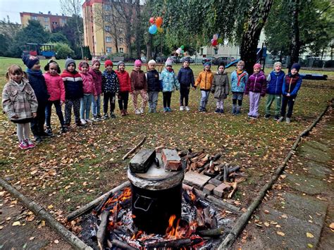 Dzie Pieczonego Ziemniaka Przedszkole Nr Bajka W Myszkowie