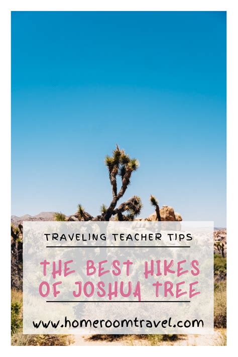 The Perfect Joshua Tree Day Trip Artofit