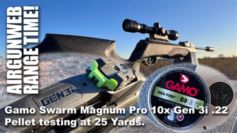 Gamo Swarm Magnum Pro 10x Gen 3i .22 Pellet Testing at 25 yd