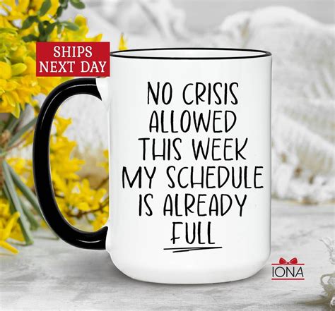 Funny Coworker T No Crisis Allowed Funny Work Bestie T Office Coffee Mug Christmas