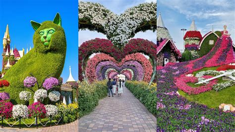 Miracle Garden Of Dubai Oasis In Middle Of The Desert Youtube