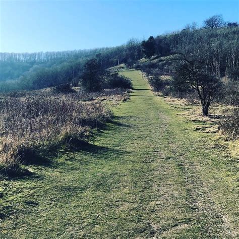 Best Trails in South Downs National Park - West Sussex, England | AllTrails