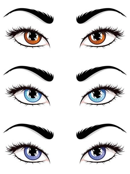 Female Eyes Stock Vector By Artshock 80451164