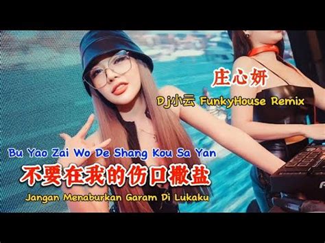 庄心妍 不要在我的伤口撒盐 Dj小云 FunkyHouse Remix Bu Yao Zai Wo De Shang Kou