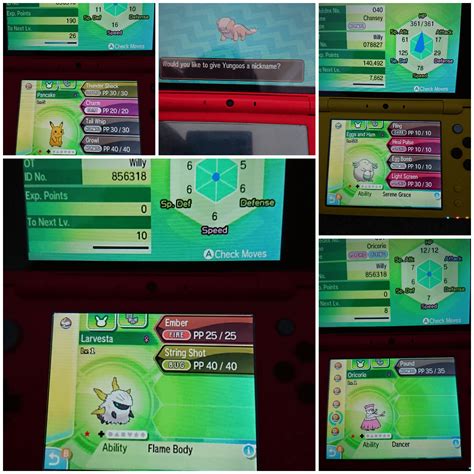 [Gen VII] Been going for a shiny a day, so far so good. : r/ShinyPokemon