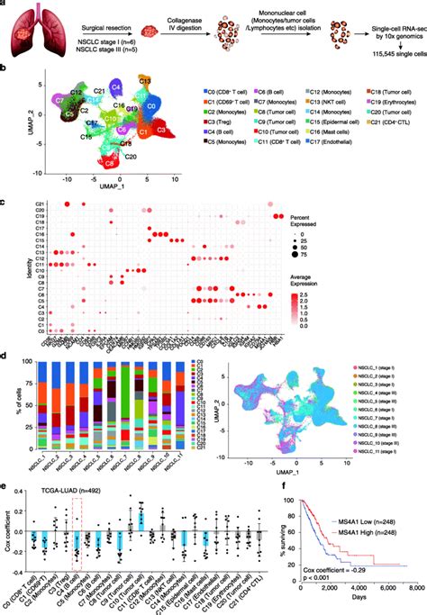 Single Cell Transcriptomic Analysis Reveals The Transcriptome Of Cells