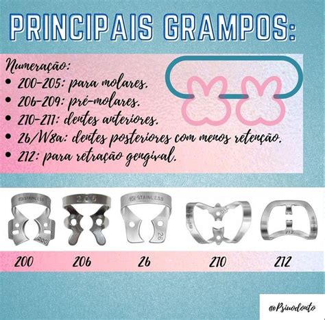 Principais Grampos Psiuodonto Dent Stica