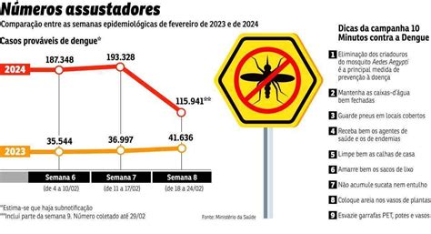 Dengue Brasil Registra Média De 17 Mil Novos Casos Por Dia Em 2024