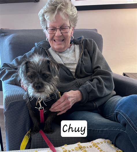 This article explains how to support united animal friends 1