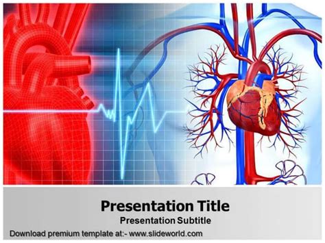 Cardiovascular Powerpoint Template Ppt