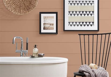 Behr’s 2021 Color Of The Year Is Canyon Dusk An Earthy Terracotta