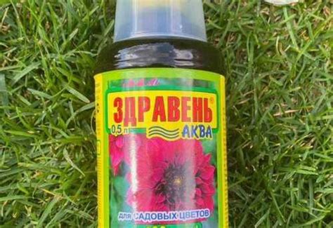 Здравень-аква для садовых цветов Вся Россия | Растения | Festima.Ru ...