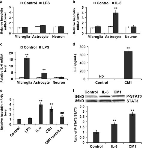 Lps Induced Hepcidin Expression In Astrocytes Is Regulated By Il From