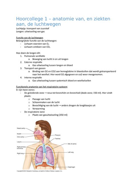 Hoorcollege Anatomie En Ziekten Van De Luchtwegen Hoorcollege