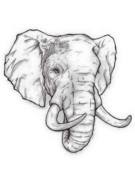 Pin by Aaron Thompson on Tattoos | Elephant drawing, Elephant art ...