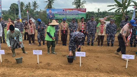 Lanal Dabo Singkep Laksanakan Gerakan Nasional Penanaman Sorgum Di 77