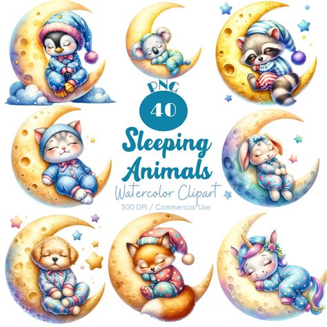 Sleeping Animals Clipart 40 PNG Watercolor Cute Sleeping Animals on ...