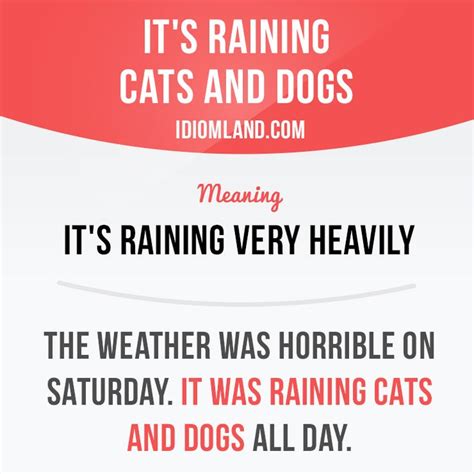 Its Raining Cats And Dogs Means Its Raining Very Heavily Example