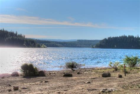 Clear Lake Campground, Mt. Hood - Oregon