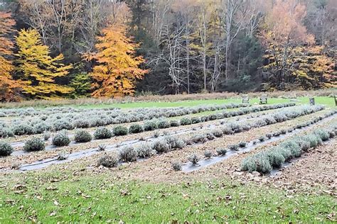 Winterton Farms Sullivan County Farmers Markets