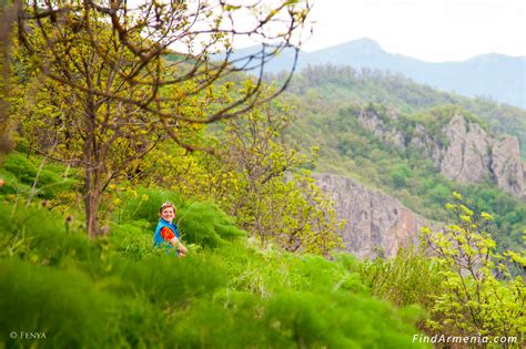 Dilijan National Park – FindArmenia