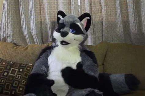 Inside Bizarre Furries Craze As Misunderstood Followers Slam Fetish