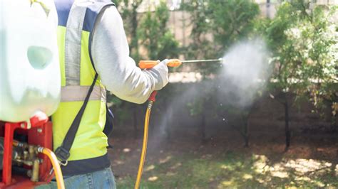 Pest Control Tips For Homeowners Keep Your Home Pest Free