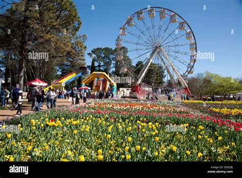 Ferris Wheel At The Spring Festival Of Floriade Canberra Australia