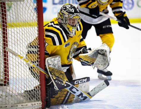 Ohl Preseason Roster Breakdown Sarnia Sting The Hockey News Ontario