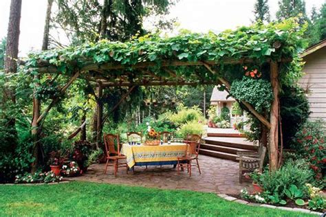 patio-grape-arbor-garden-ideas