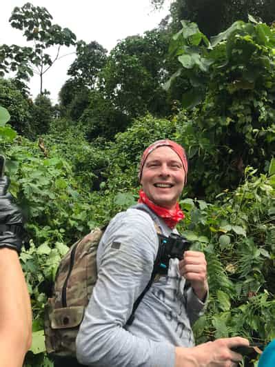 Von Kampala Aus Gorilla Trekking Im Bwindi Forest Tages Tour