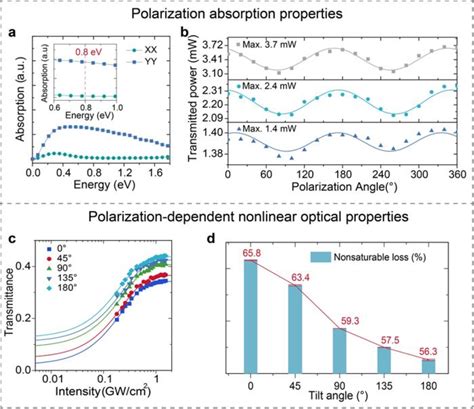 Figure Polarization Dependen Image Eurekalert Science News Releases