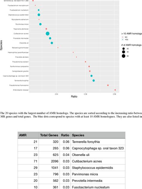 The Species With At Least Amr Homologues They Are Sorted By The