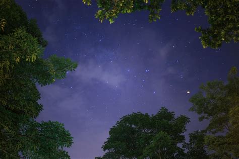 Moonlight Photos, Download The BEST Free Moonlight Stock Photos & HD Images