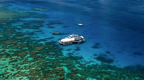 Great Adventures Cruises Great Barrier Reef Day Trips Cairns Australia