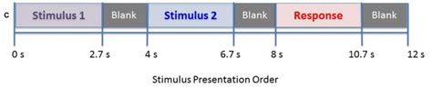 Diagram Of Stimulus Presentation Design For Session 1 A Depiction Of Download Scientific