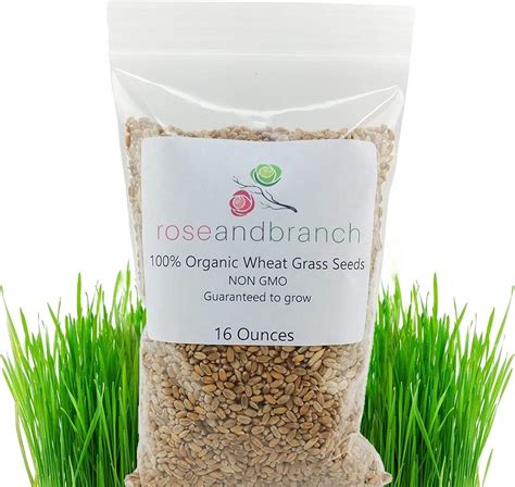 Organic Wheatgrass Growing Starter Kit Grow And Juice Wheat Grass Includes Non