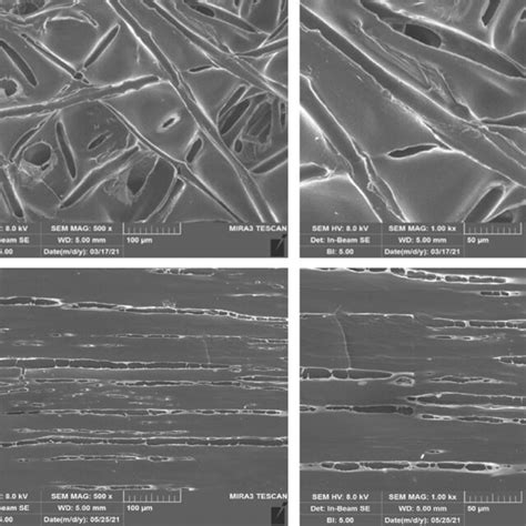 Sem Micrographs At Two Different Magnifications 500x And 1kx Of Mcr Download Scientific