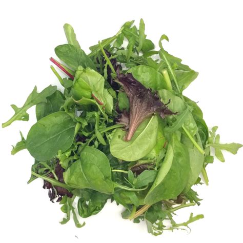 Mixed Baby Leaf Salad 250g